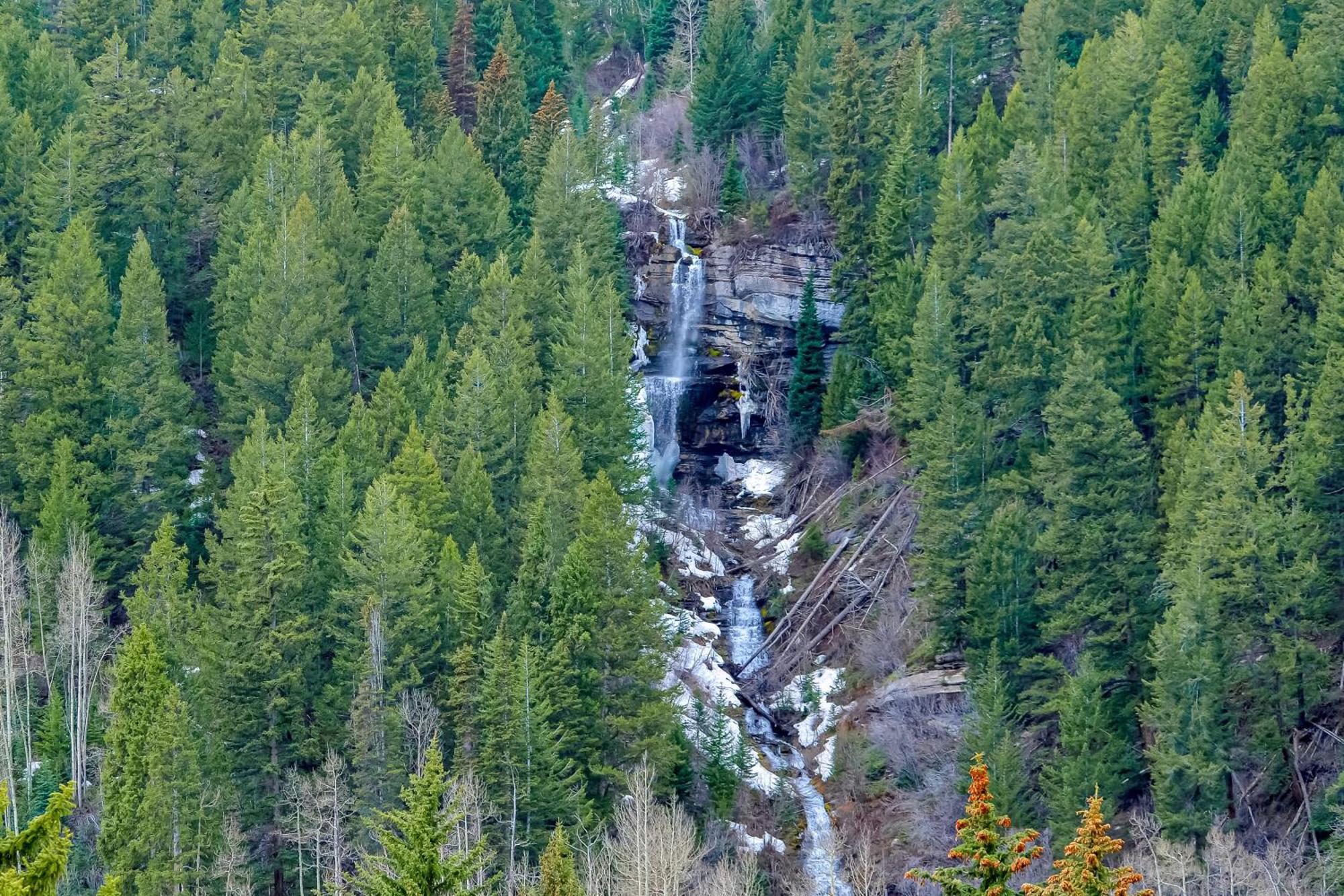 Апартаменти Pitkin Creek Вейл Номер фото