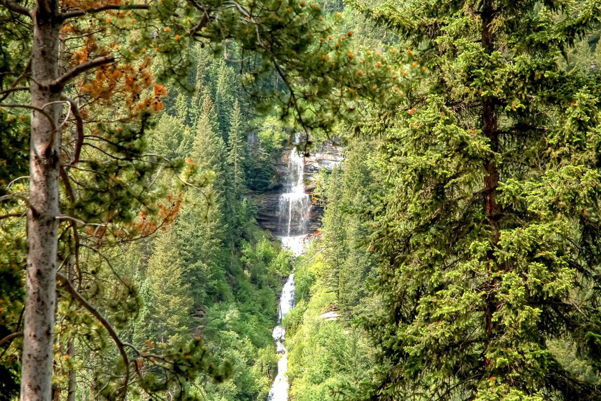 Апартаменти Pitkin Creek Вейл Номер фото